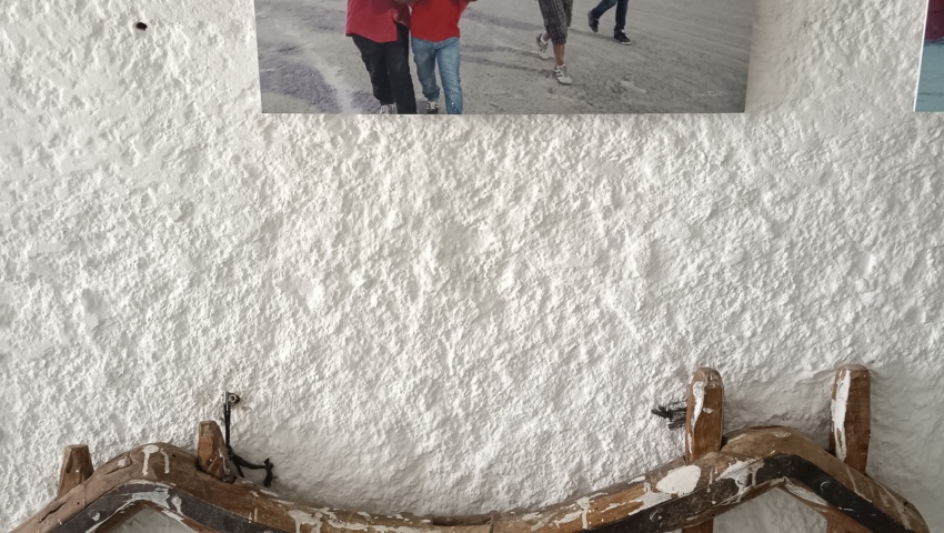 YUGO PARA DOS ANIMALES