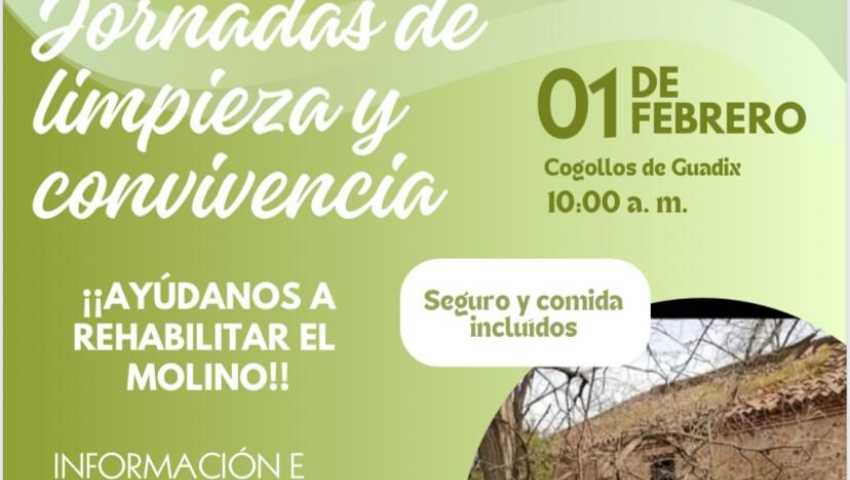 IMG-20250131-WA0004 (1)